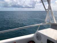 Great day of scuba diving in Key Largo with Rainbow Reef on christmastree cave tropical odyssey 2018 04 01 r5717 1