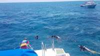 Great day of scuba diving in Key Largo with Rainbow Reef on christmastree cave tropical odyssey 2018 04 21 r5847 1