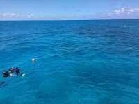 Great day of scuba diving in Key Largo with Rainbow Reef on city of washington tropical adventure 2018 04 03 r5734 1