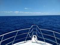 Great day of scuba diving in Key Largo with Rainbow Reef on conch wall tropical adventure 2018 04 18 r5825 1