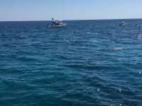 Great day of scuba diving in Key Largo with Rainbow Reef on drift molasses tropical legend 2018 04 28 r5892 1