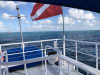 Great day of scuba diving in Key Largo with Rainbow Reef on eagle ray alley tropical adventure 2018 04 02 r5723 1