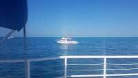 Great day of scuba diving in Key Largo with Rainbow Reef on eagle ray alley tropical adventure 2018 04 14 r5802 1