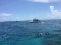 Great day of scuba diving in Key Largo with Rainbow Reef on eagle ray alley tropical explorer 2018 04 22 r5854 1