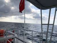 Great day of scuba diving in Key Largo with Rainbow Reef on eagle ray alley tropical legend 2018 04 11 r5787 1