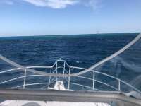 Great day of scuba diving in Key Largo with Rainbow Reef on eagle ray alley tropical legend 2018 04 16 r5814 1