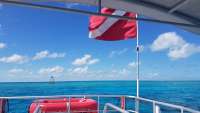 Great day of scuba diving in Key Largo with Rainbow Reef on eagle ray alley tropical odyssey 2018 04 03 r5736 1