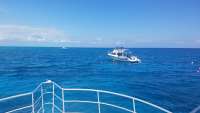 Great day of scuba diving in Key Largo with Rainbow Reef on eagle ray alley tropical odyssey 2018 04 05 r5755 1
