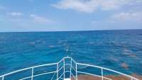 Great day of scuba diving in Key Largo with Rainbow Reef on eagle ray alley tropical odyssey 2018 04 12 r5795 1