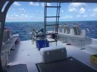 Great day of scuba diving in Key Largo with Rainbow Reef on eagle ray alley tropical voyager 2018 04 01 r5718 1