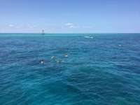 Great day of scuba diving in Key Largo with Rainbow Reef on fire coral cave tropical voyager 2018 04 28 r5890 1