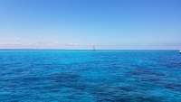 Great day of scuba diving in Key Largo with Rainbow Reef on fire coral cave tropical voyager 2018 04 29 r5901 1
