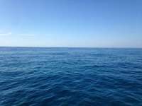 Great day of scuba diving in Key Largo with Rainbow Reef on french reef tropical explorer 2018 04 29 r5895 1