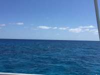 Great day of scuba diving in Key Largo with Rainbow Reef on french twist tropical legend 2018 04 18 r5826 1