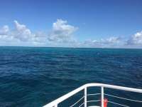 Great day of scuba diving in Key Largo with Rainbow Reef on molasses reef tropical adventure 2018 04 04 r5744 1