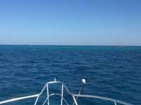 Great day of scuba diving in Key Largo with Rainbow Reef on molasses reef tropical adventure 2018 04 05 r5748 1
