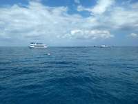 Great day of scuba diving in Key Largo with Rainbow Reef on molasses reef tropical adventure 2018 04 11 r5789 1