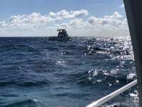 Great day of scuba diving in Key Largo with Rainbow Reef on molasses reef tropical explorer 2018 04 03 r5730 1