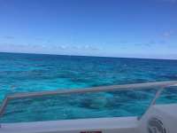 Great day of scuba diving in Key Largo with Rainbow Reef on molasses reef tropical legend 2018 04 02 r5727 1