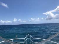 Great day of scuba diving in Key Largo with Rainbow Reef on molasses reef tropical legend 2018 04 14 r5808 1