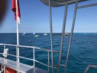 Great day of scuba diving in Key Largo with Rainbow Reef on molasses reef tropical legend 2018 04 26 r5876 1