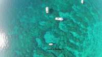 Great day of scuba diving in Key Largo with Rainbow Reef on molasses reef tropical odyssey 2018 04 10 r5786 1