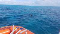 Great day of scuba diving in Key Largo with Rainbow Reef on north star tropical legend 2018 04 01 r5715 1