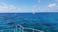 Great day of scuba diving in Key Largo with Rainbow Reef on north star tropical legend 2018 04 04 r5743 1