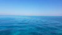 Great day of scuba diving in Key Largo with Rainbow Reef on north star tropical voyager 2018 04 29 r5896 1