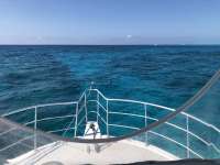 Great day of scuba diving in Key Largo with Rainbow Reef on sand island tropical legend 2018 04 09 r5778 1