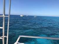 Great day of scuba diving in Key Largo with Rainbow Reef on spanish anchor tropical legend 2018 04 05 r5750 1