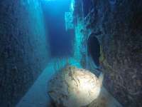 Great day of scuba diving in Key Largo with Rainbow Reef on spiegel grove tropical adventure 2018 04 29 r5893 1
