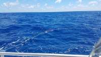 Great day of scuba diving in Key Largo with Rainbow Reef on spiegel grove tropical odyssey 2018 04 03 r5733 1