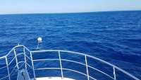Great day of scuba diving in Key Largo with Rainbow Reef on spiegel grove tropical odyssey 2018 04 05 r5749 1
