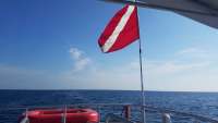 Great day of scuba diving in Key Largo with Rainbow Reef on spiegel grove tropical odyssey 2018 04 08 r5770 1