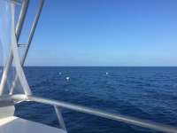 Great day of scuba diving in Key Largo with Rainbow Reef on spiegel grove tropical odyssey 2018 04 10 r5782 1