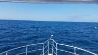 Great day of scuba diving in Key Largo with Rainbow Reef on spiegel grove tropical odyssey 2018 04 24 r5865 1