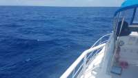 Great day of scuba diving in Key Largo with Rainbow Reef on uscgc bibb tropical adventure 2018 04 23 r5862 1