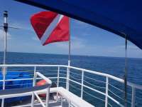 Great day of scuba diving in Key Largo with Rainbow Reef on benwood wreck tropical adventure 2018 08 11 r6809 1