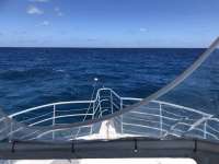 Great day of scuba diving in Key Largo with Rainbow Reef on benwood wreck tropical legend 2018 08 05 r6750 1