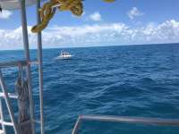 Great day of scuba diving in Key Largo with Rainbow Reef on benwood wreck tropical serenity 2018 08 20 r6894 1