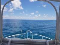 Great day of scuba diving in Key Largo with Rainbow Reef on benwood wreck tropical serenity 2018 08 23 r6915 1