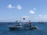 Great day of scuba diving in Key Largo with Rainbow Reef on christmastree cave tropical odyssey 2018 08 02 r6719 1