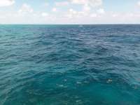 Great day of scuba diving in Key Largo with Rainbow Reef on christmastree cave tropical odyssey 2018 08 04 r6735 1