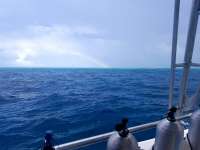 Great day of scuba diving in Key Largo with Rainbow Reef on christmastree cave tropical serenity 2018 08 07 r6764 1