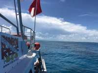 Great day of scuba diving in Key Largo with Rainbow Reef on crf nursery tropical legend 2018 08 22 r6909 3