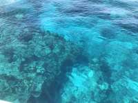 Great day of scuba diving in Key Largo with Rainbow Reef on drift molasses tropical voyager 2018 08 11 r6806 1