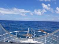 Great day of scuba diving in Key Largo with Rainbow Reef on eagle ray alley tropical legend 2018 08 29 r6957 1