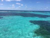 Great day of scuba diving in Key Largo with Rainbow Reef on grecian rocks tropical voyager 2018 08 20 r6892 1