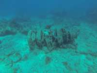 Great day of scuba diving in Key Largo with Rainbow Reef on hole in the wall tropical adventure 2018 08 25 r6929 1